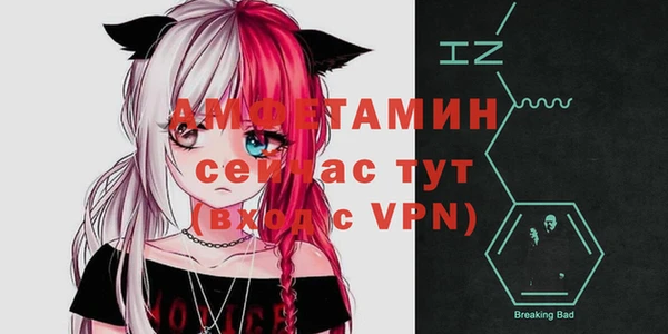 винт Нея