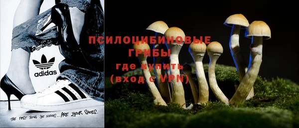 тгк Нефтегорск