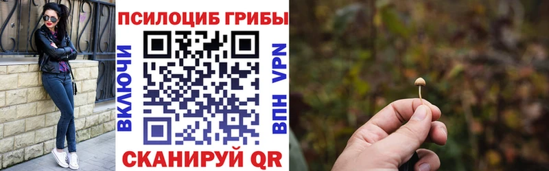 магазин продажи   Барнаул  Псилоцибиновые грибы ЛСД 
